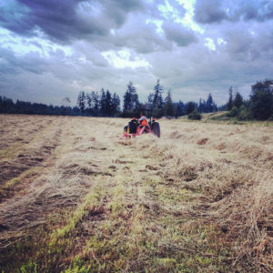 Harvesting hay in Enumclaw, WA