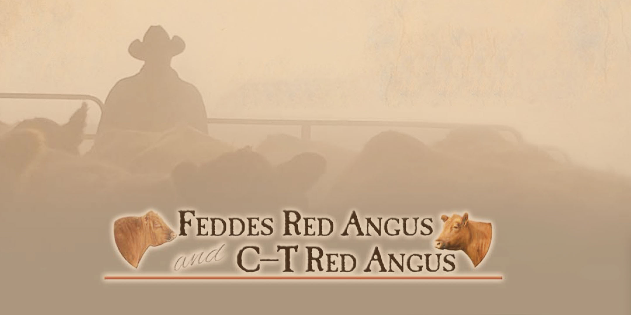 Feddes/C-T Red Angus Sale