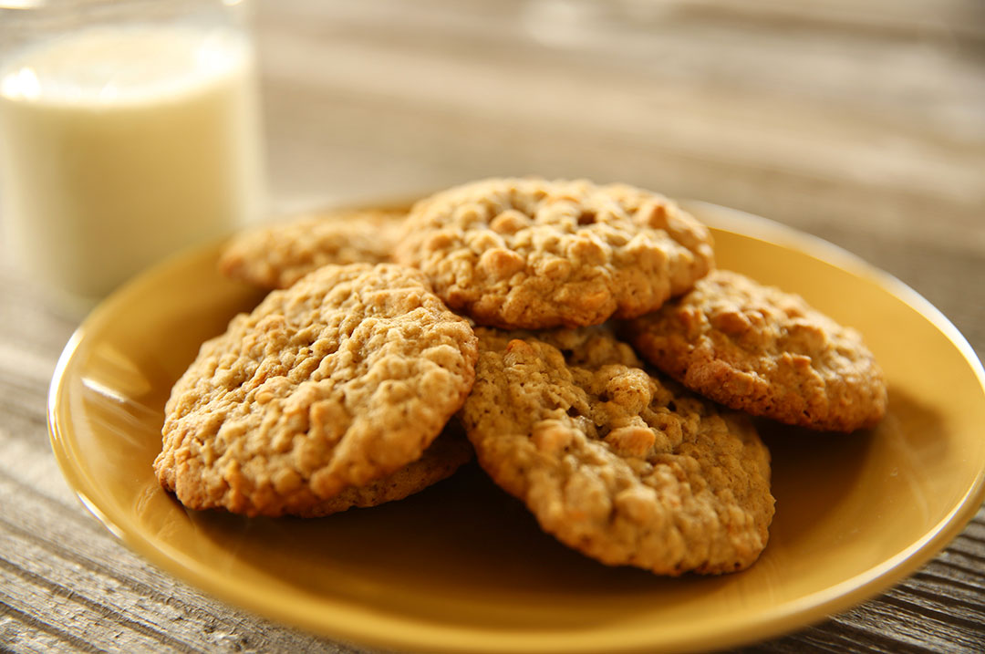 fresh baked oatmeal butterscotch cookies with a glass of milk