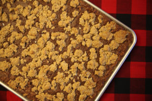 Chocolate Oat Squares