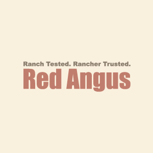 Ranch Tested. Ranch Trusted. Red Angus