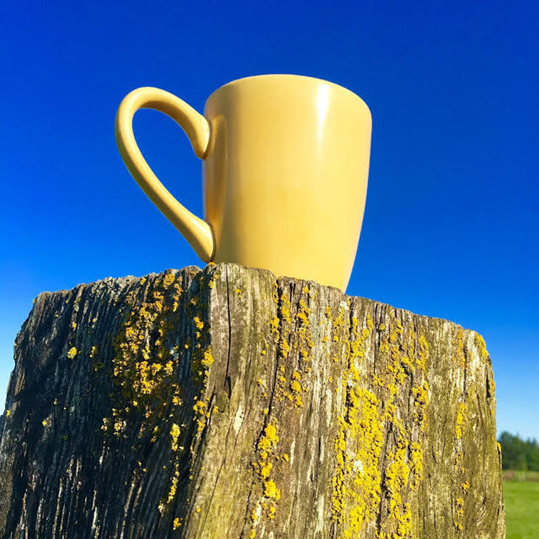 Yellow coffee cup on a fencepost